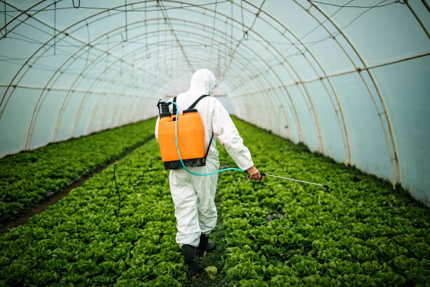 Best Pest Removal Services  in Blackhawk, SD