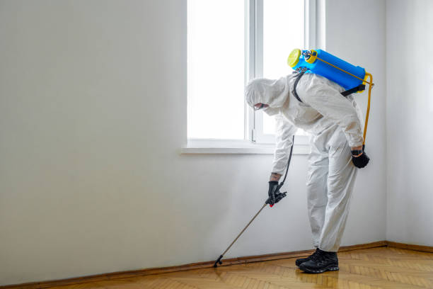 Best Commercial Pest Control Services  in Blackhawk, SD