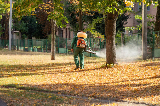Best Pest Control Near Me in Blackhawk, SD