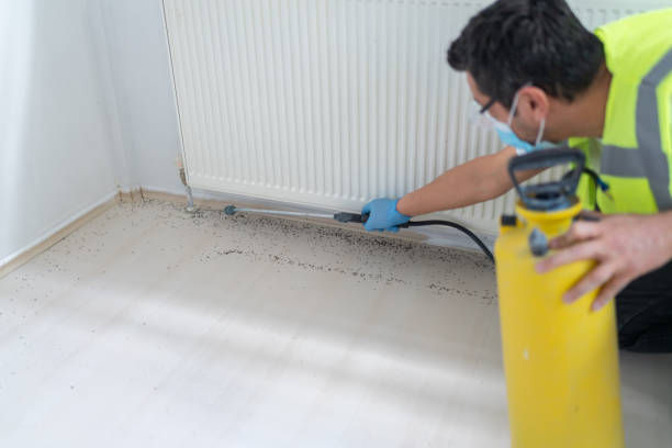 Best Ant Control Services  in Blackhawk, SD
